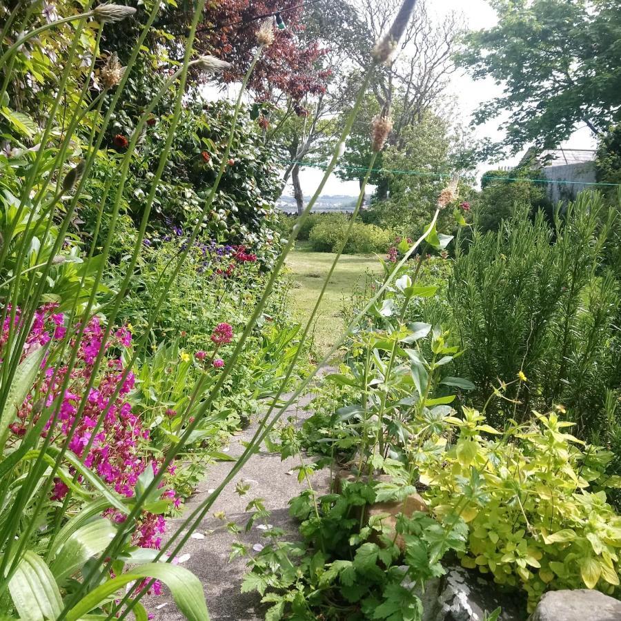 Unique Townhouse With Large Garden Down To The Sea Villa Killough Luaran gambar